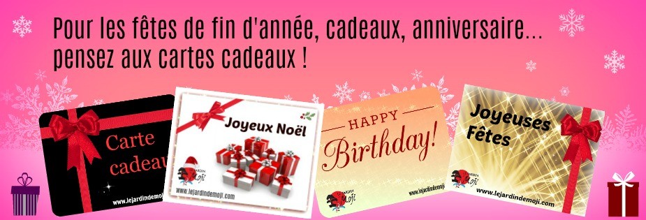 les cartes cadeaux Moji